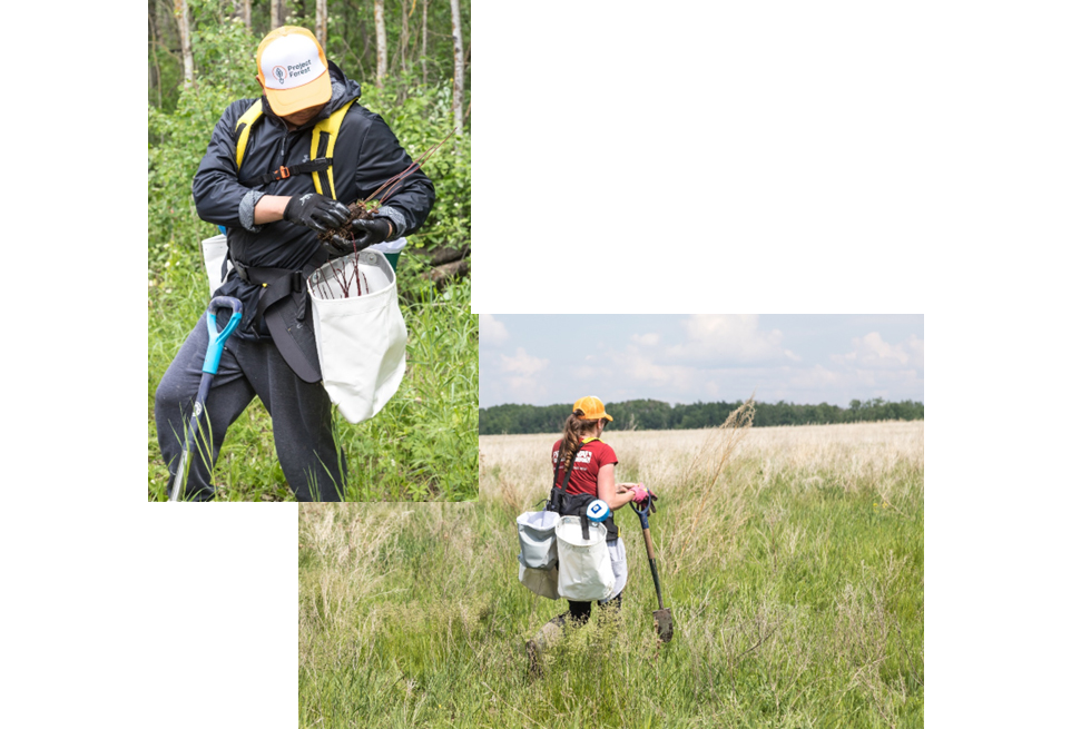 Highlights of Pembina’s 2022 Project Forest contribution in Camp Creek: