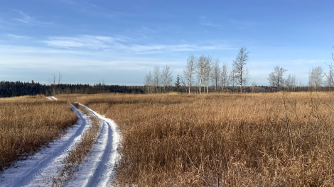 Doig River First Nation Rewilding Project 