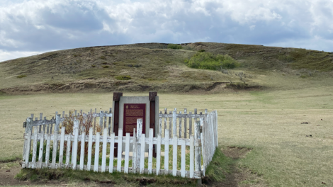 Siksika First Nation Community Shelterbelt Program